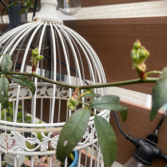 fu-mufumuさんの部屋