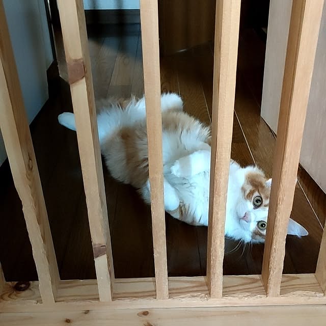 mori_6_12さんの部屋