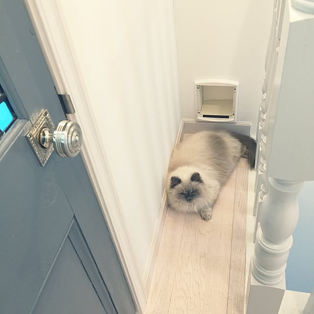 yuchiさんの実例写真