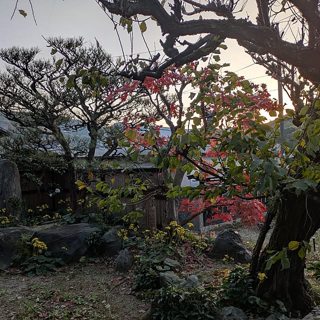 kuririnmamaさんの部屋