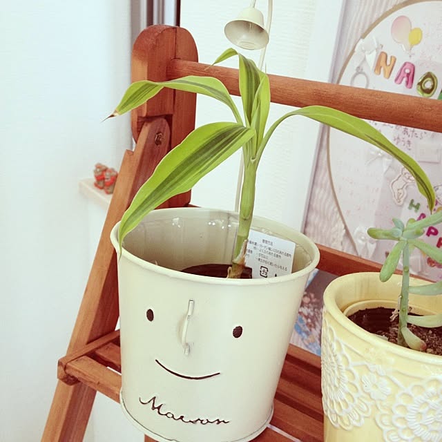 mihoさんの実例写真