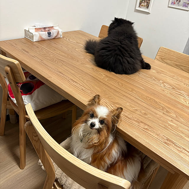 buddykoさんの実例写真