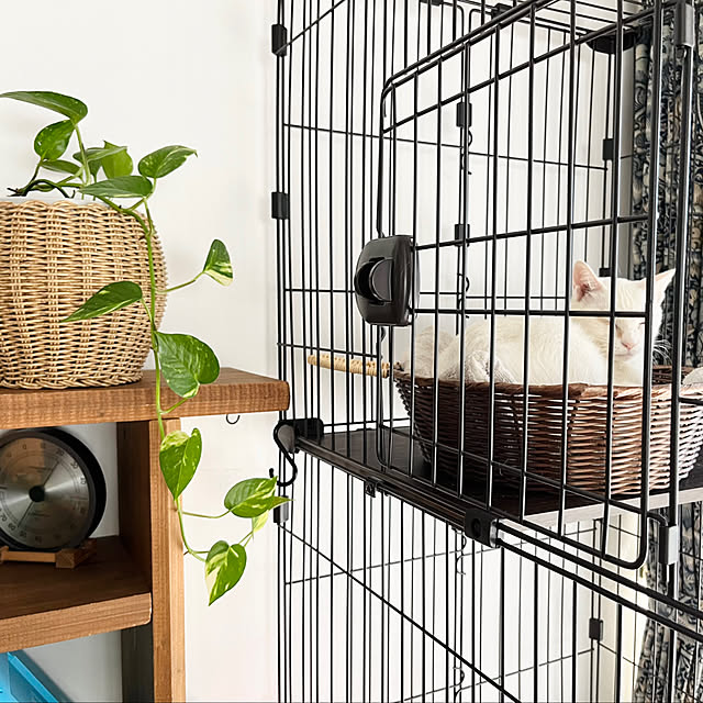 Maruさんの部屋