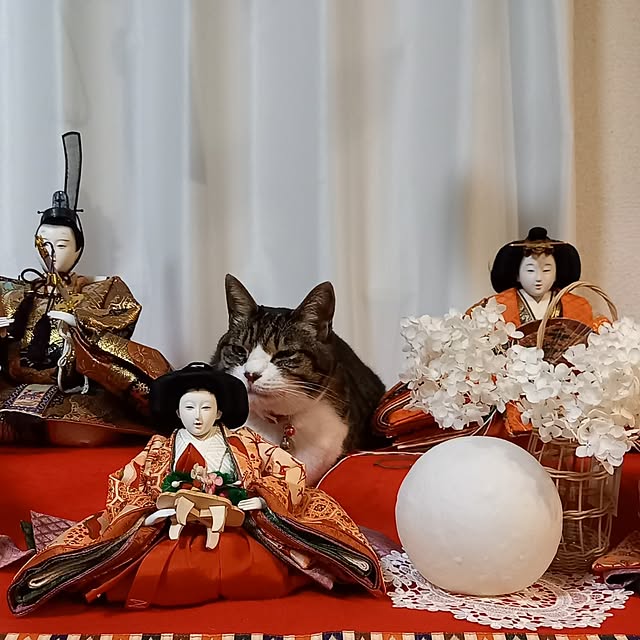 civicglさんの実例写真