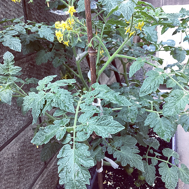 richanさんの部屋