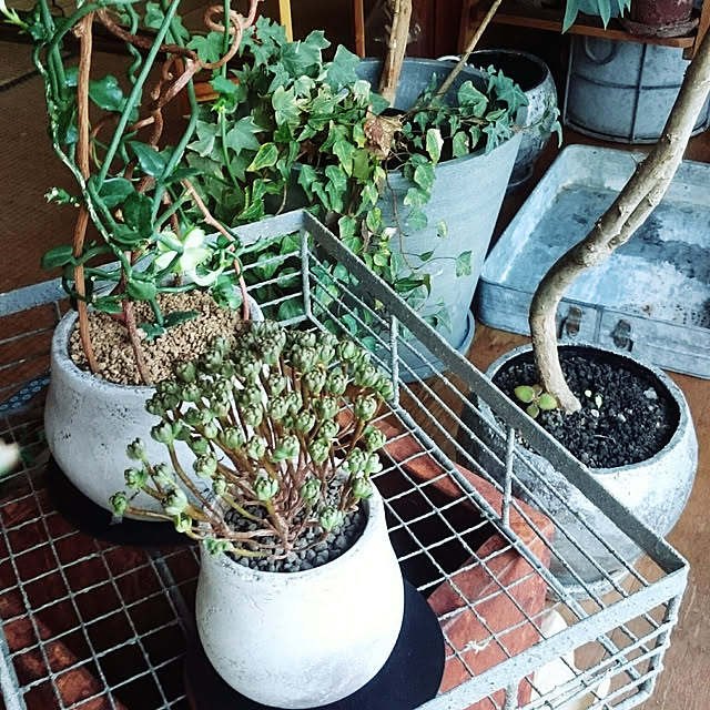 takenさんの実例写真