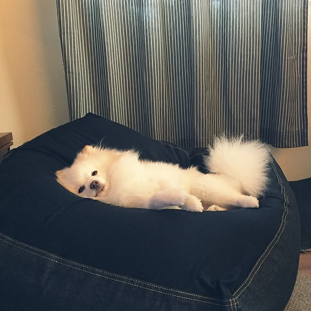 kt85さんの実例写真
