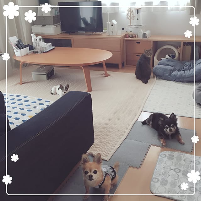 Emiさんの実例写真