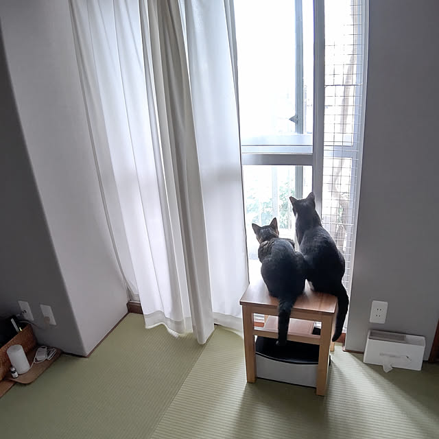 hihaさんの実例写真