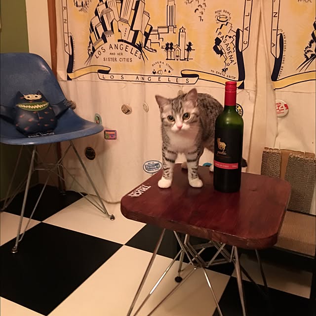 Shojiさんの実例写真