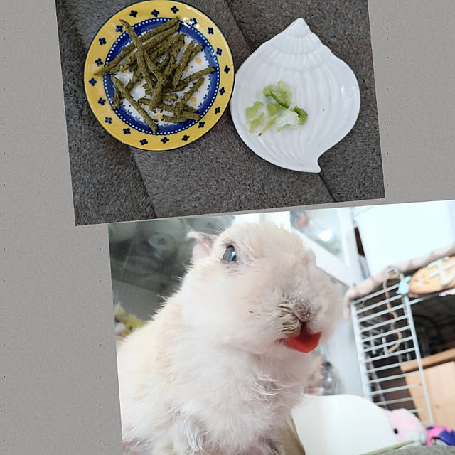 yokomokoさんの実例写真