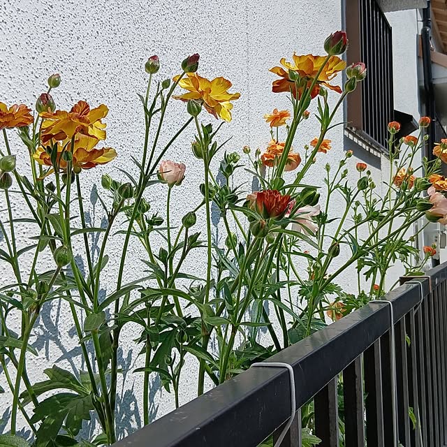 tomomiさんの実例写真