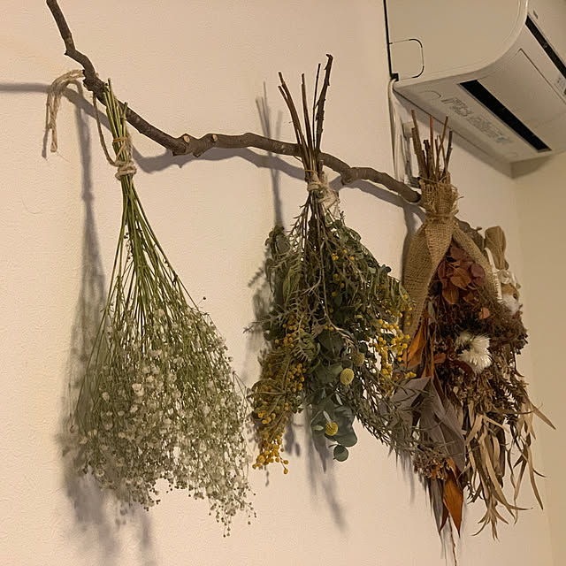 流木/ドライフラワーのある暮らし/ドライフラワー/一人暮らし/植物のある生活...などのインテリア実例 - 2021-05-13 19:05:37