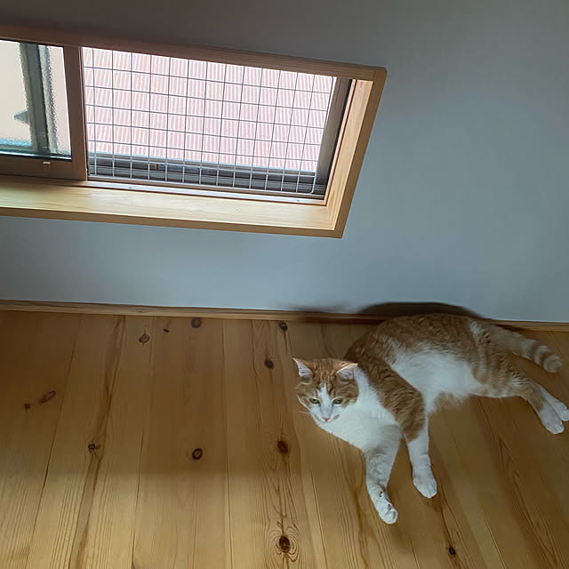 senbei.sakuramochiさんの実例写真
