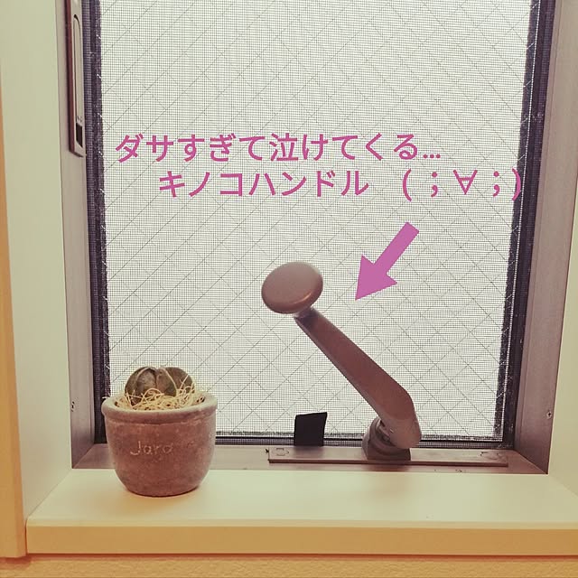 pittaさんの実例写真