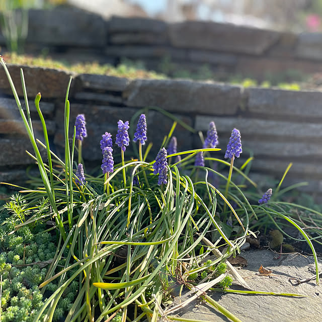 kmys0625さんの実例写真