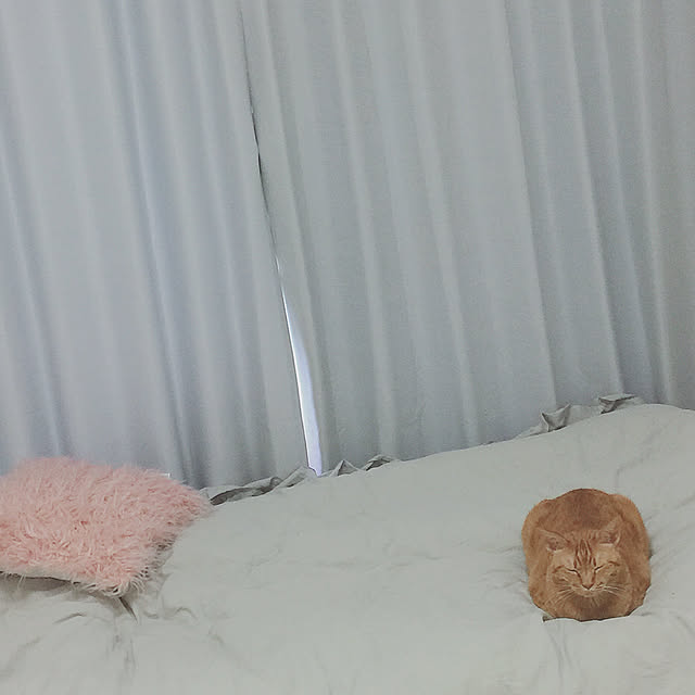 nenemamaさんの実例写真