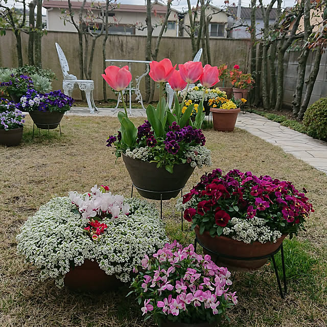 実例写真