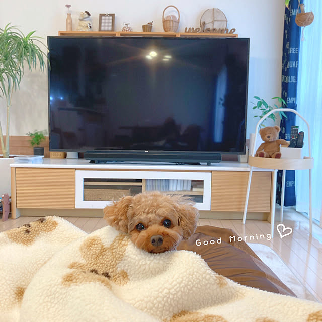 e.and.m.mamaさんの実例写真