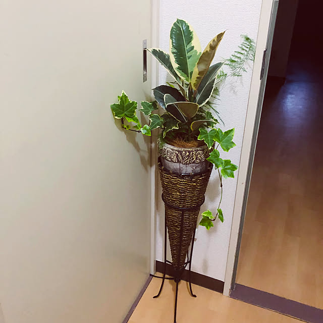 hanachanさんの部屋
