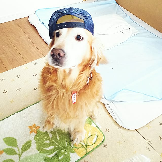 shelly-1227さんの実例写真