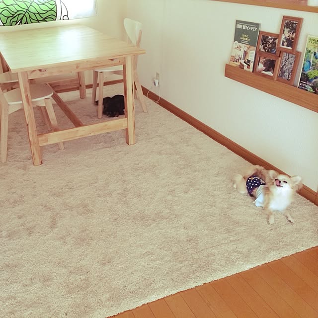 Nozomiさんの実例写真