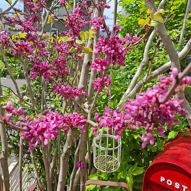 midoriさんの部屋