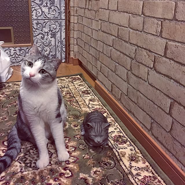 emmyyさんの実例写真