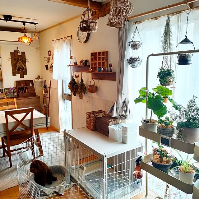 teamoさんの部屋