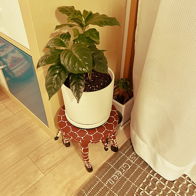 Rinさんの実例写真
