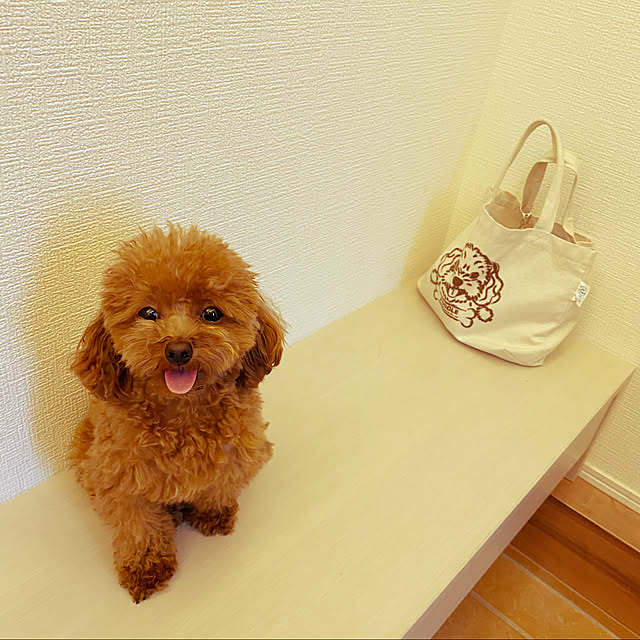 otsutaudonkoさんの実例写真