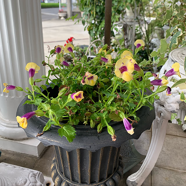 AYUKOさんの実例写真