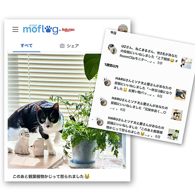 Miyu_さんの部屋