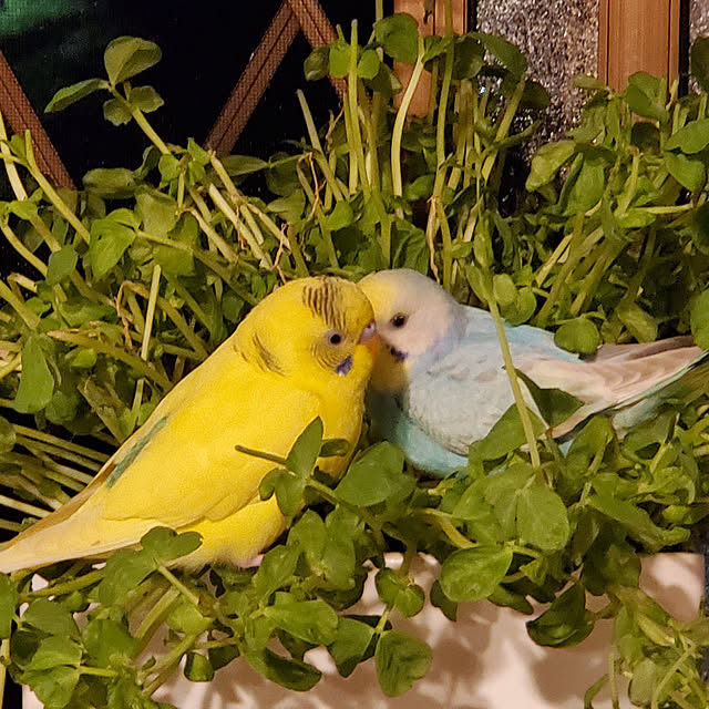 sanさんの実例写真