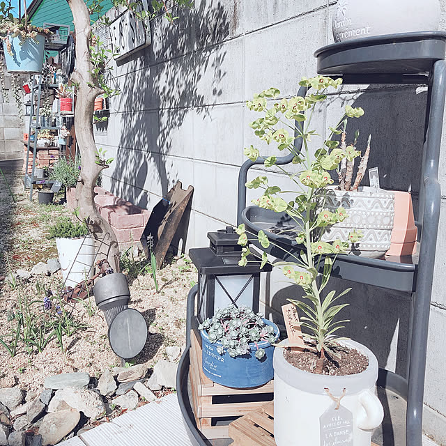 craneさんの実例写真