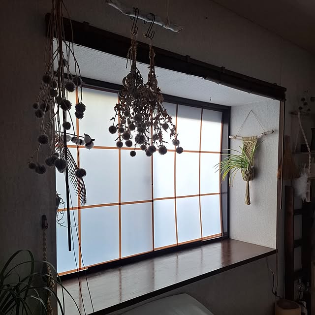 midoriさんの部屋