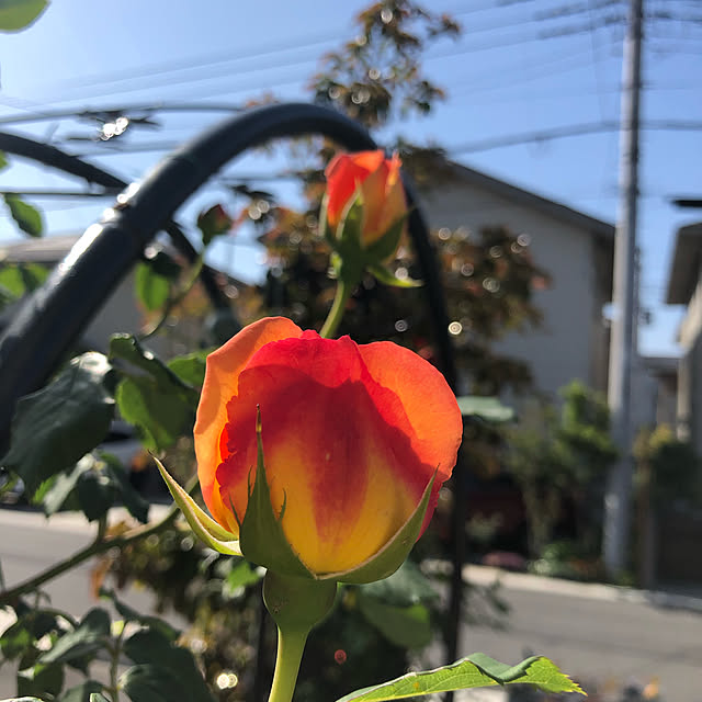 zhaotingtingさんの実例写真