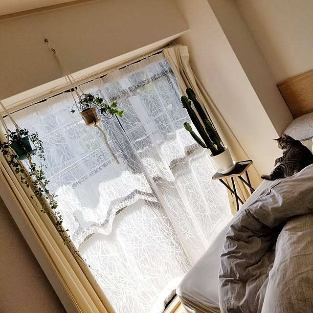 KBrownさんの実例写真