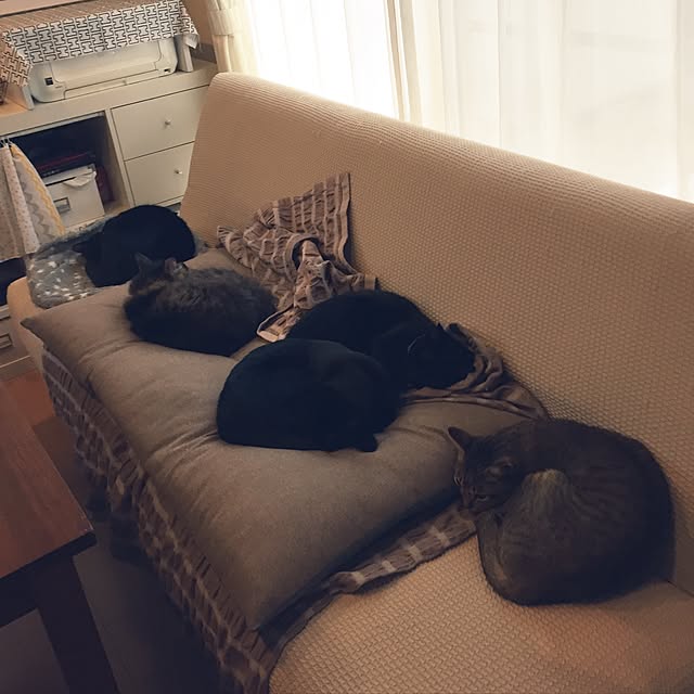yuki0511さんの実例写真