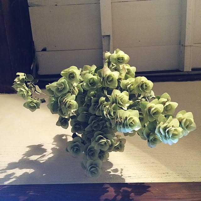 acicombさんの実例写真