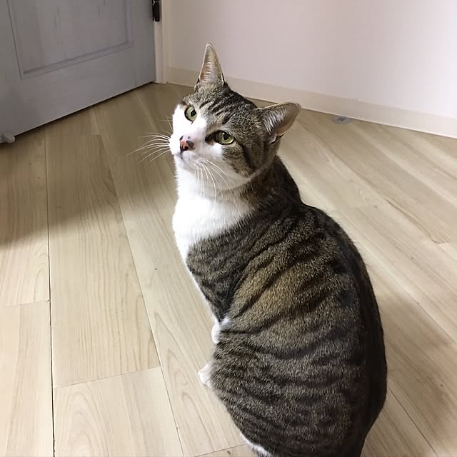 piyoさんの実例写真