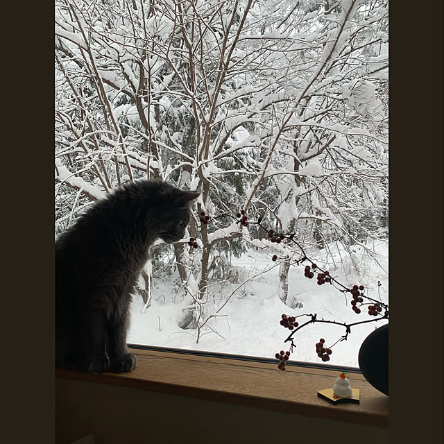 Kikko.さんの実例写真