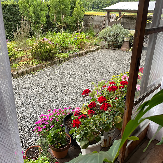 keikoさんの部屋
