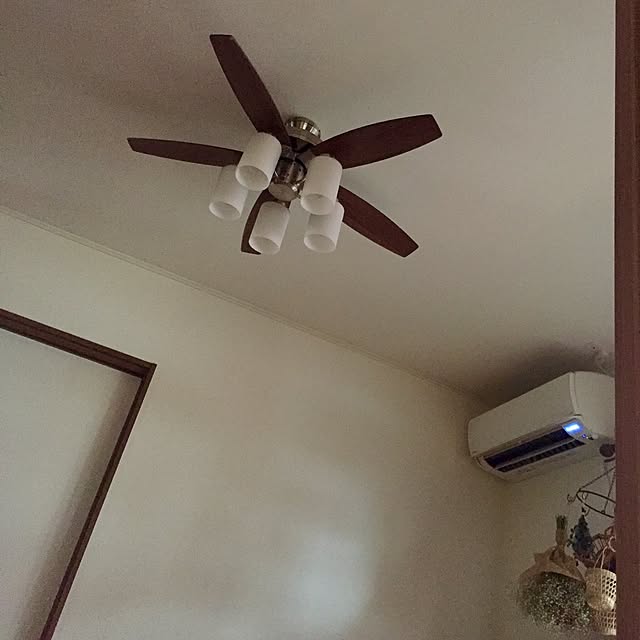 butachanさんの実例写真