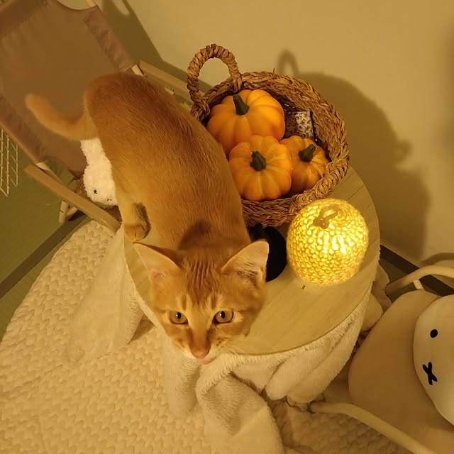 mayutan.さんの部屋
