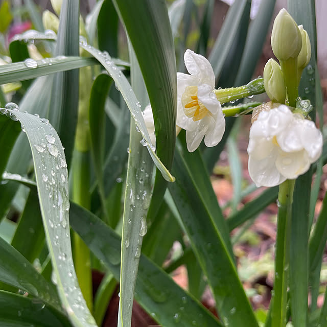 natsumiさんの部屋
