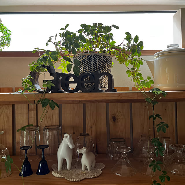 rinrinさんの部屋