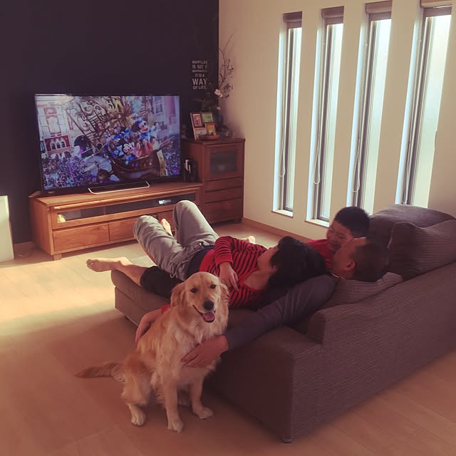 Kazueさんの実例写真