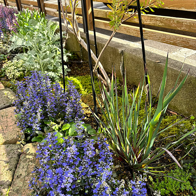 kyoko1124koさんの部屋