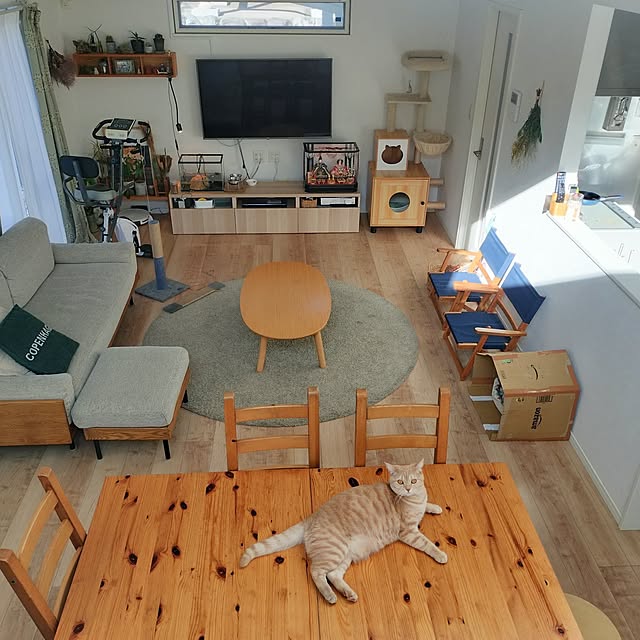 ayumiさんの実例写真